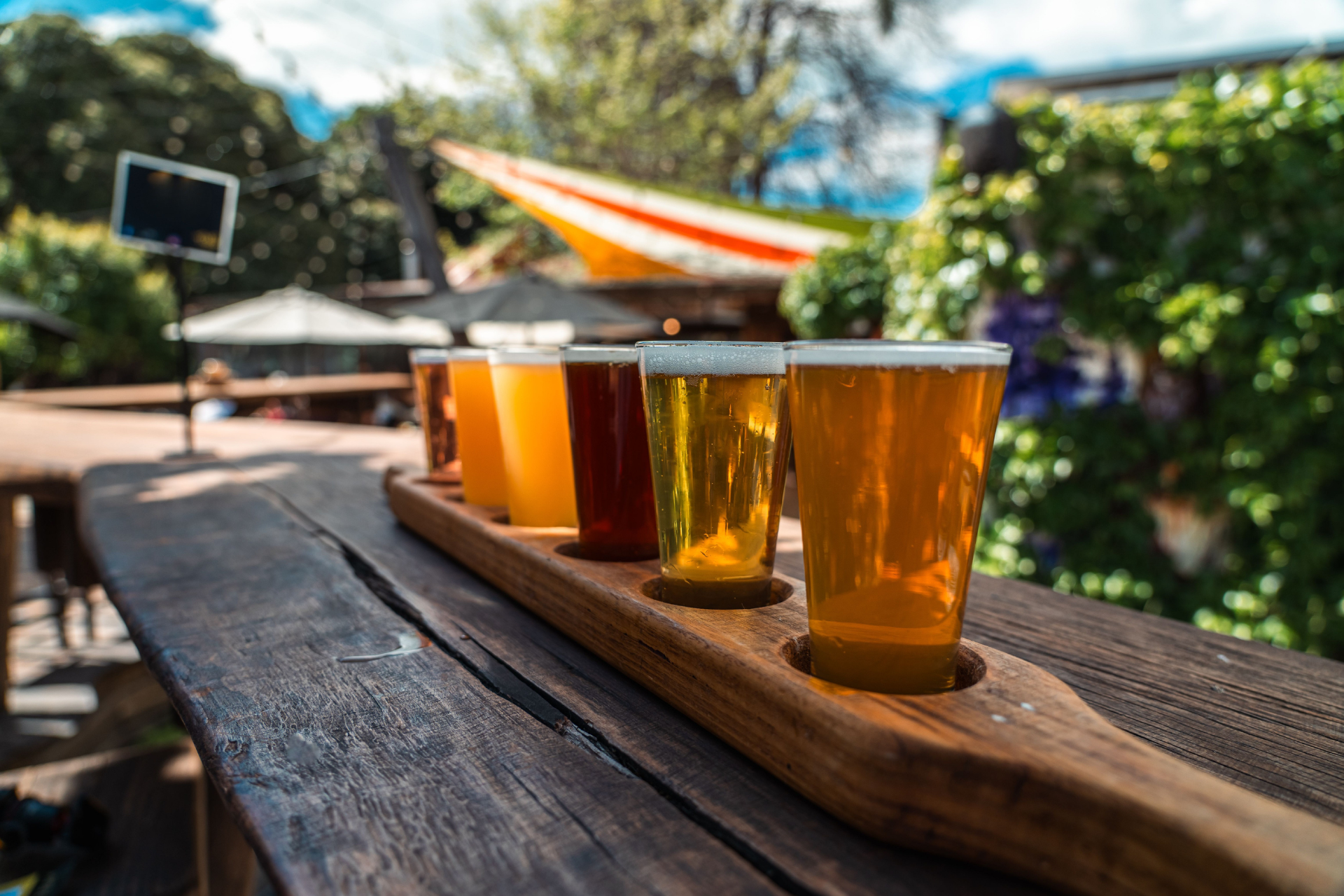 Craft Bier Tasting
