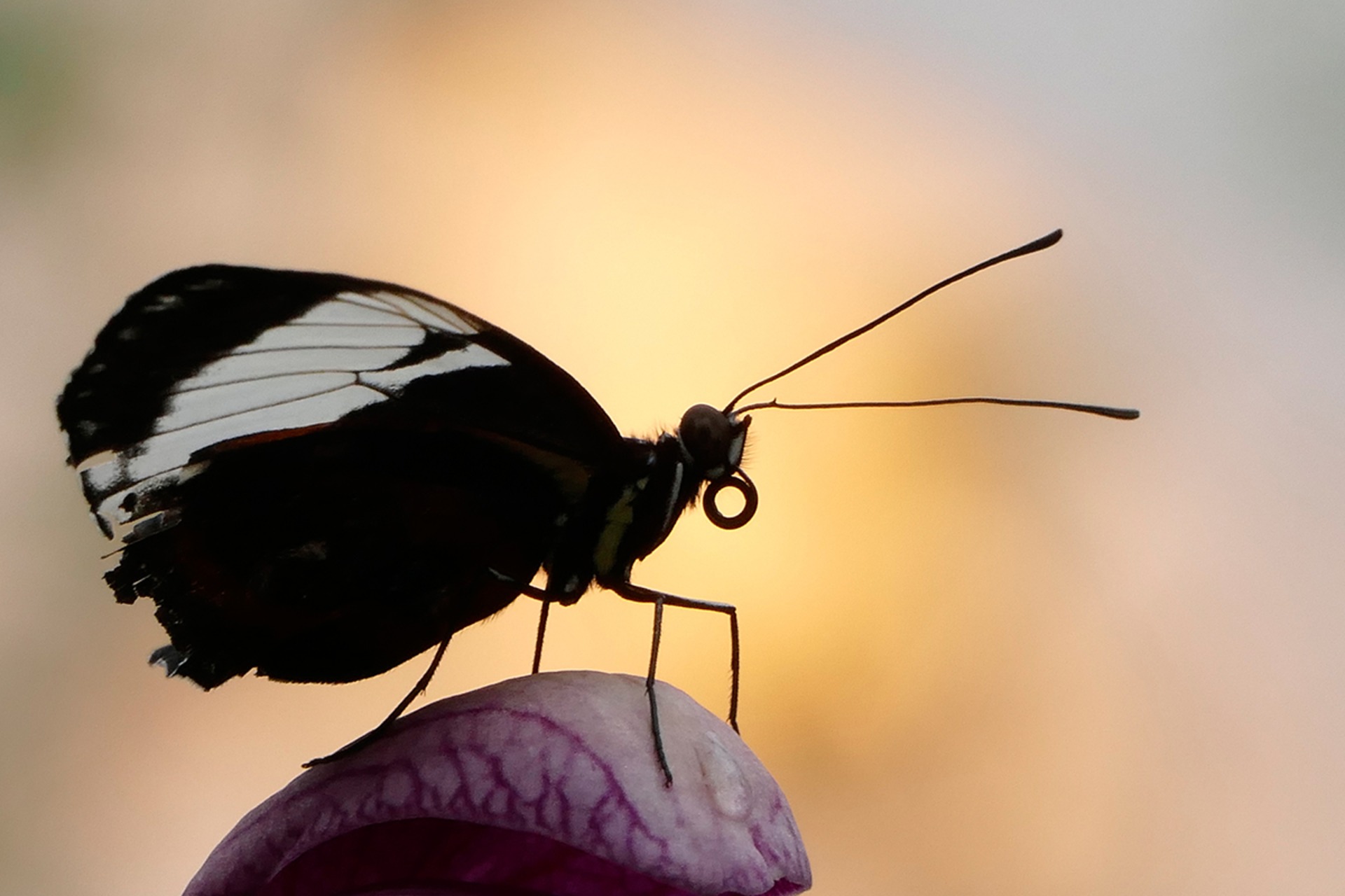 Fotokurs mit Fototour: Maximilianpark