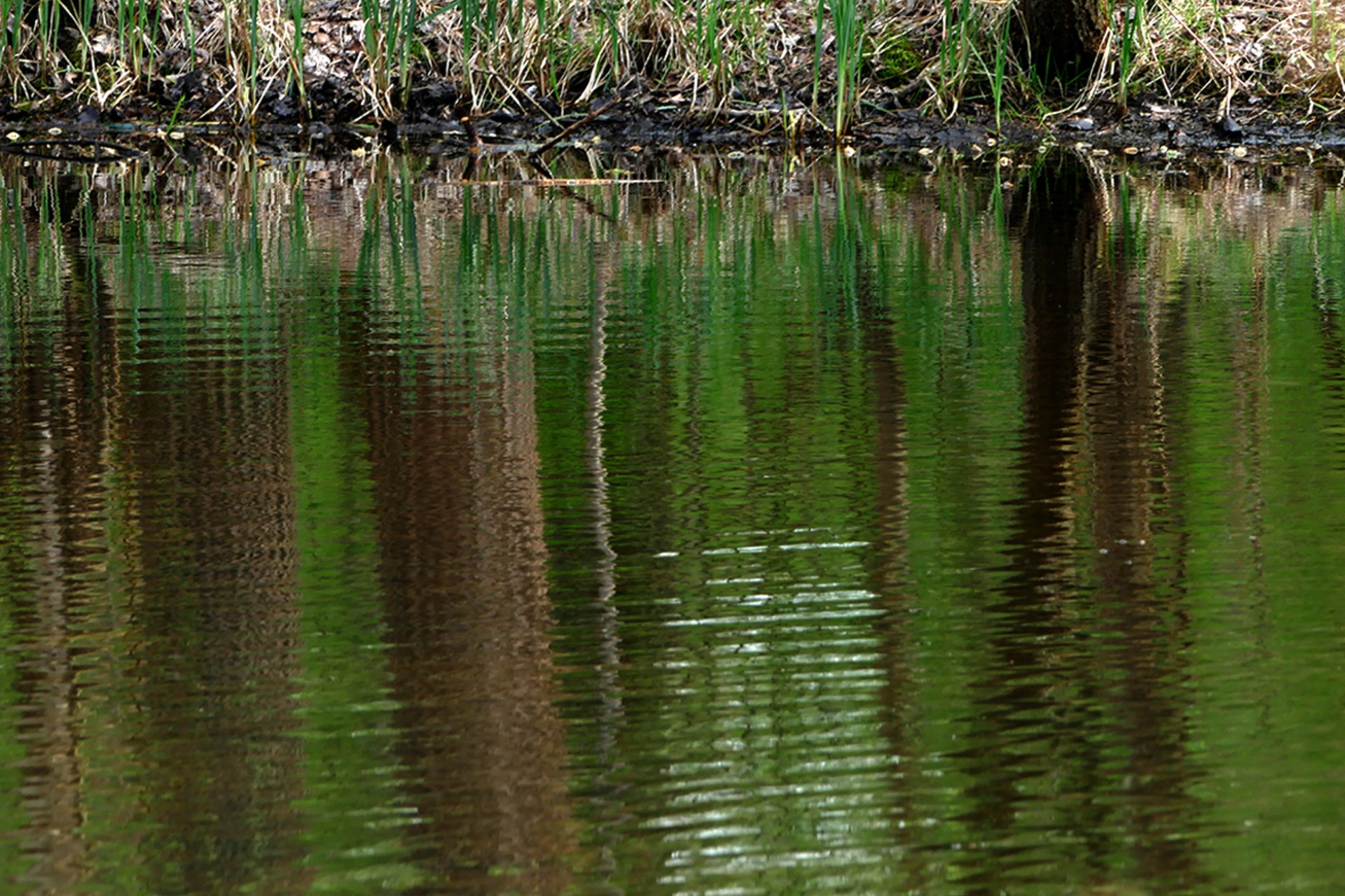 Fotokurs mit Fototour: Maximilianpark