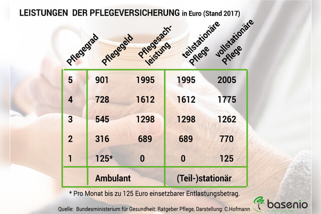 Pflege, Pflegeversicherung, Leistungen, Pflegegeld, Pflegegrad