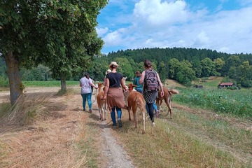 Alpaka Wanderung für 1 Person
