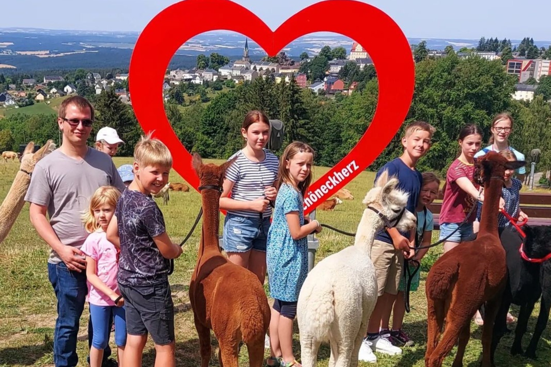 Alpakawanderung: Über Berg und Tal
