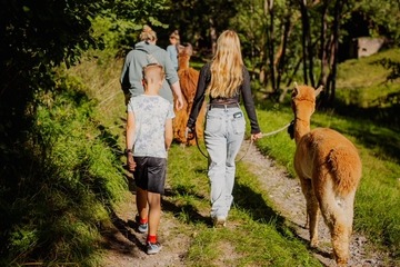 Alpakawanderung Finstertal