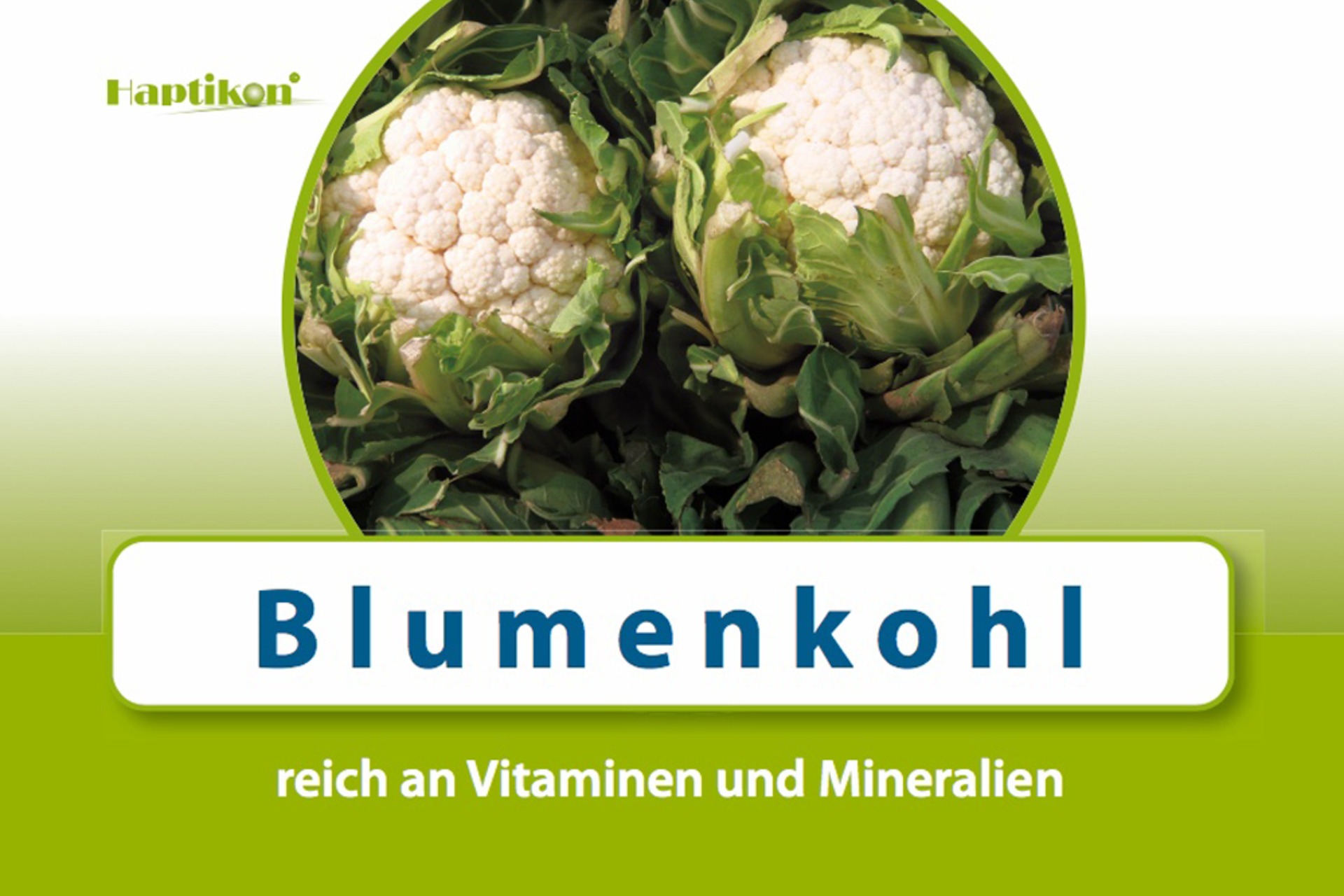 WortArchitekt - Frage-Antwort und Kommunikationsspiel