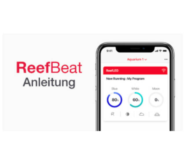 Bild zeigt den Zugang zur ReefBeat-App Video-Anleitung