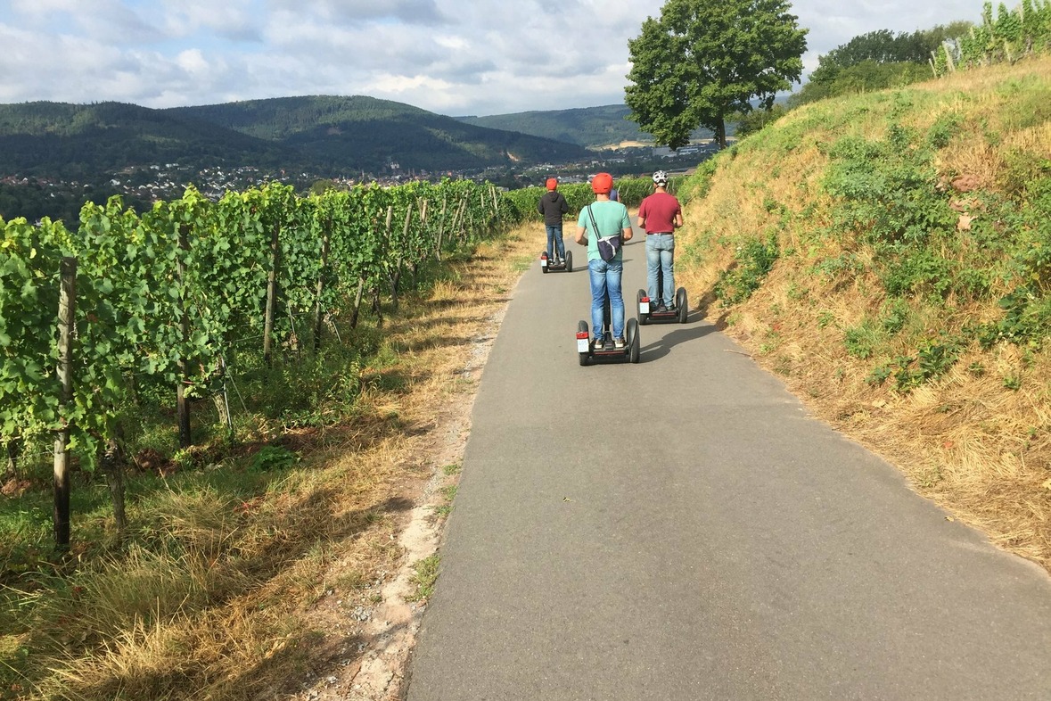 Segway Tour: Miltenberg Rundfahrt
