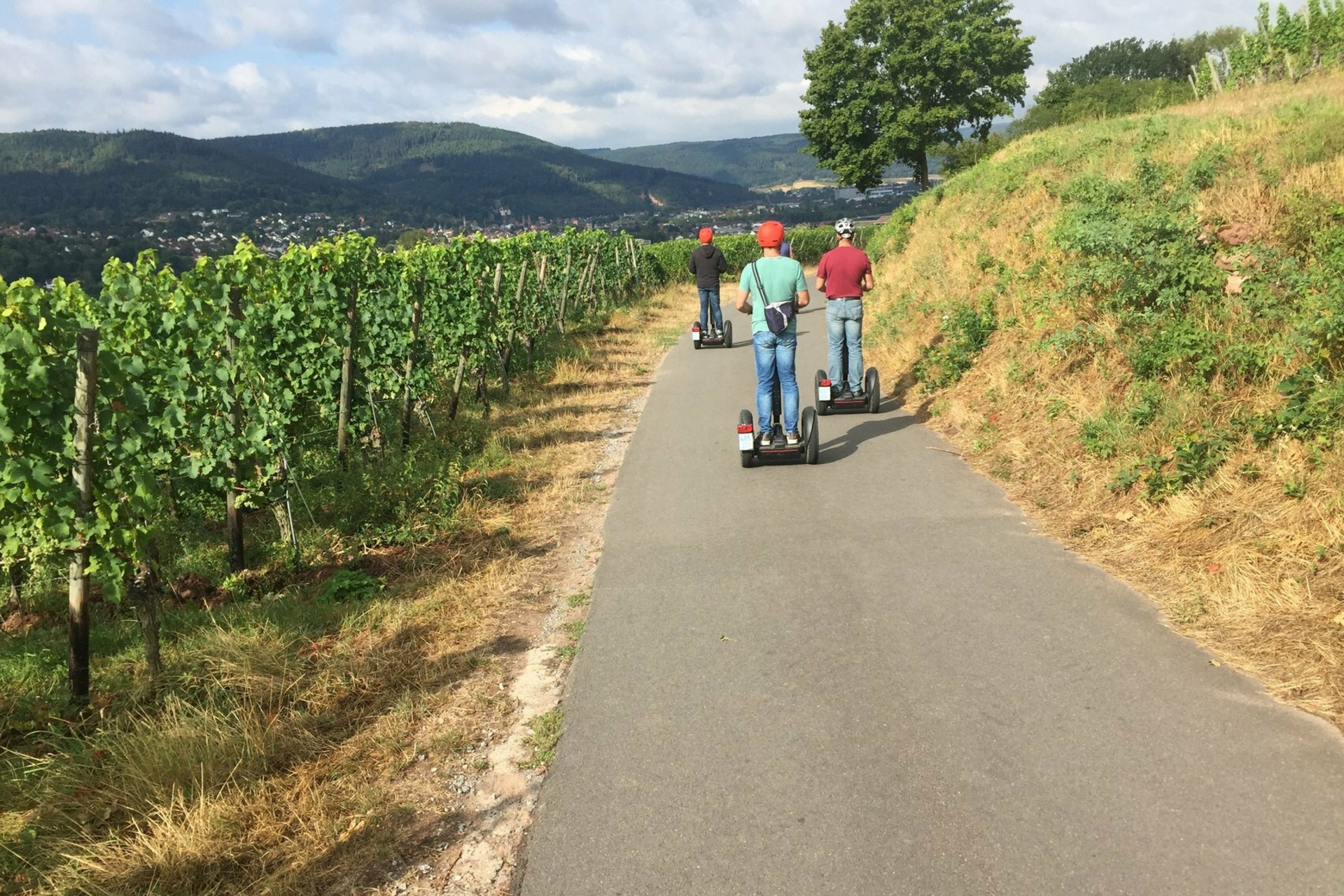 Segway Tour: Miltenberg Rundfahrt