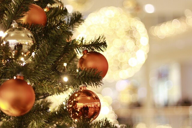 Bester Weihnachtsbaum | schöne | ökologischer