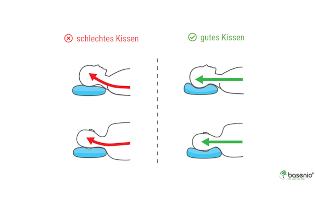 Kopfkissen | gerade Wirbelsäule