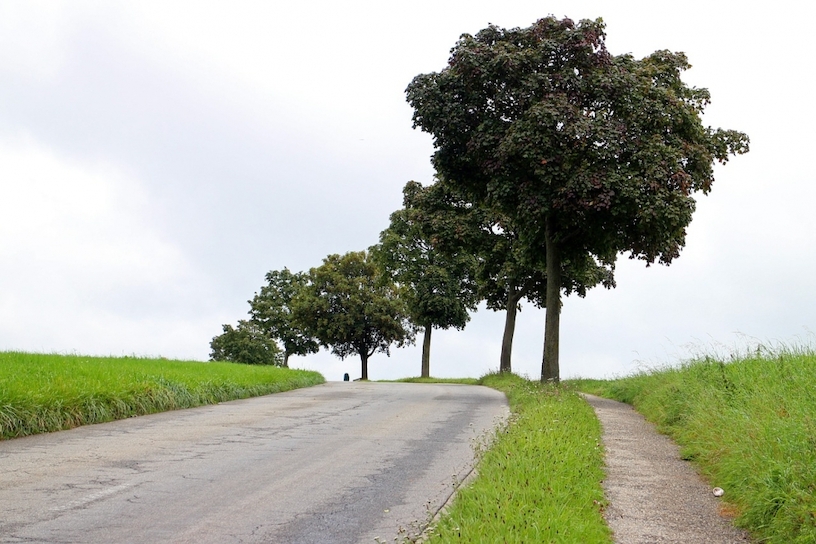 Baumkontrolle | Baumpflege | Baumkataster | Verkehrssicherungspflicht BĂ€ume | Baumkontrolleur Bild zum Artikel: Verkehrssicherungspflicht BĂ€ume | PrivatgrundstĂŒck | EigentĂŒmer