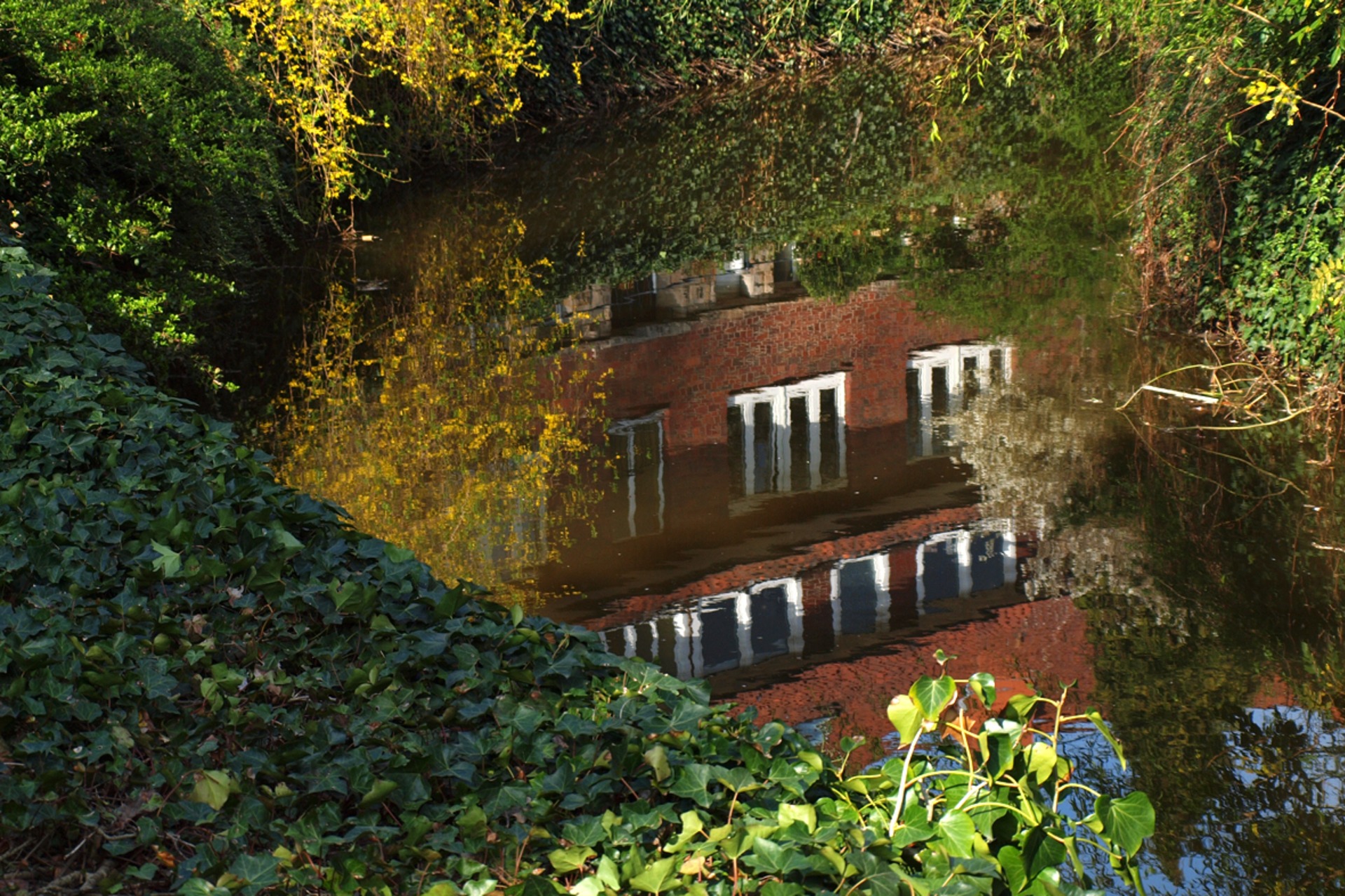 Fotokurs mit Fototour: Altstadt