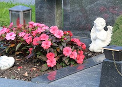 Beispiele & Tipps für pflegeleichte Grabbepflanzungen im Sommer Beispiele & Tipps für pflegeleichte Grabbepflanzungen im Sommer