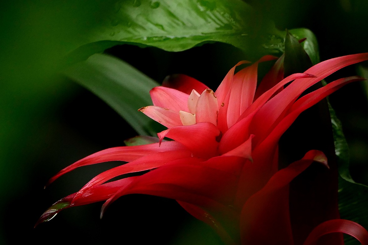 Fotokurs mit Fototour: Maximilianpark