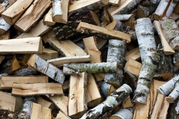 Nicht nur Buchenholz, sondern auch Birkenholz ist bestellbar. Brennholz, Kaminholz, Birke