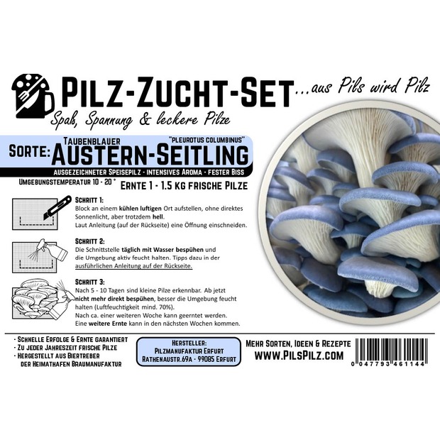 Austernseitling Zucht Set