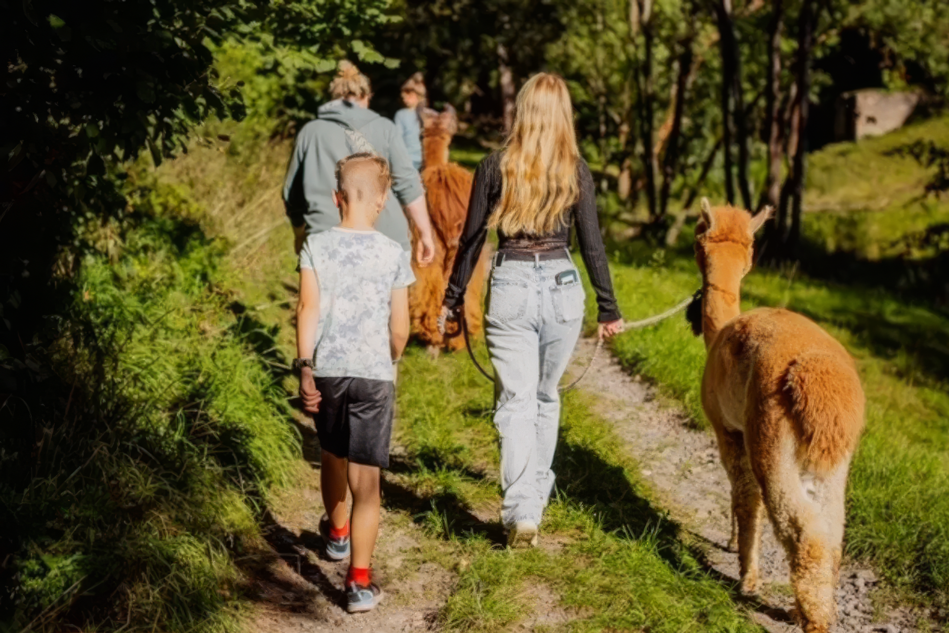 Alpaka Wanderung (Wutschenbach Tour)