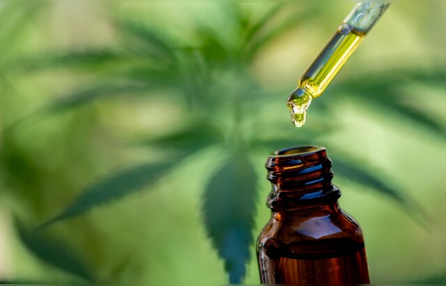 Cannabis | CBD | Senioren | Krankheiten