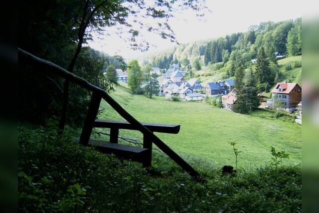 Baumkataster erstellen | Baumkontrolle | Kosten