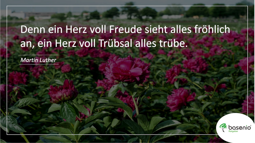 kurzer Trauerspruch Beileidskarte kurzer Trauerspruch Beileidskarte