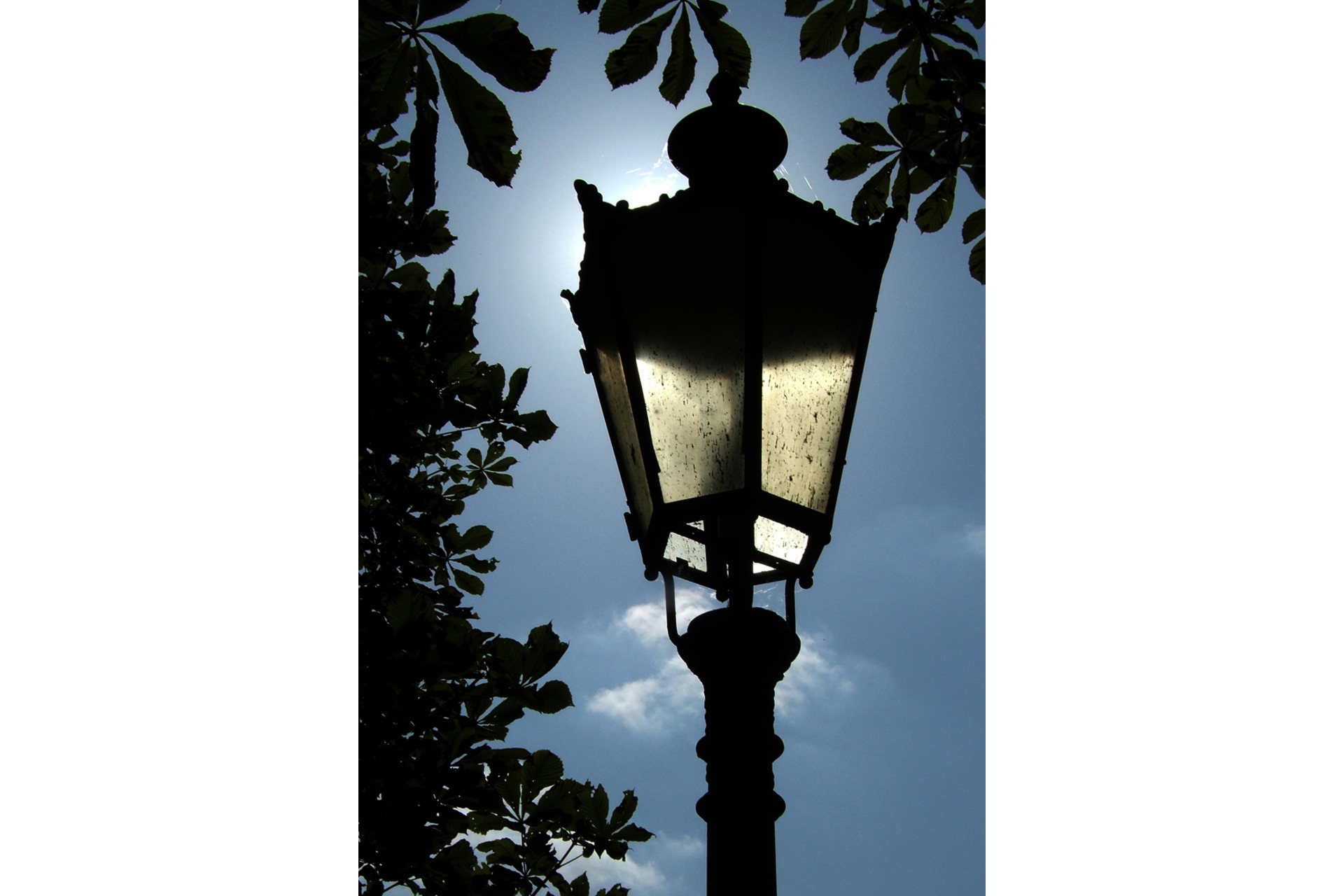 Fotokurs mit Fototour: Schloß & Parkanlage