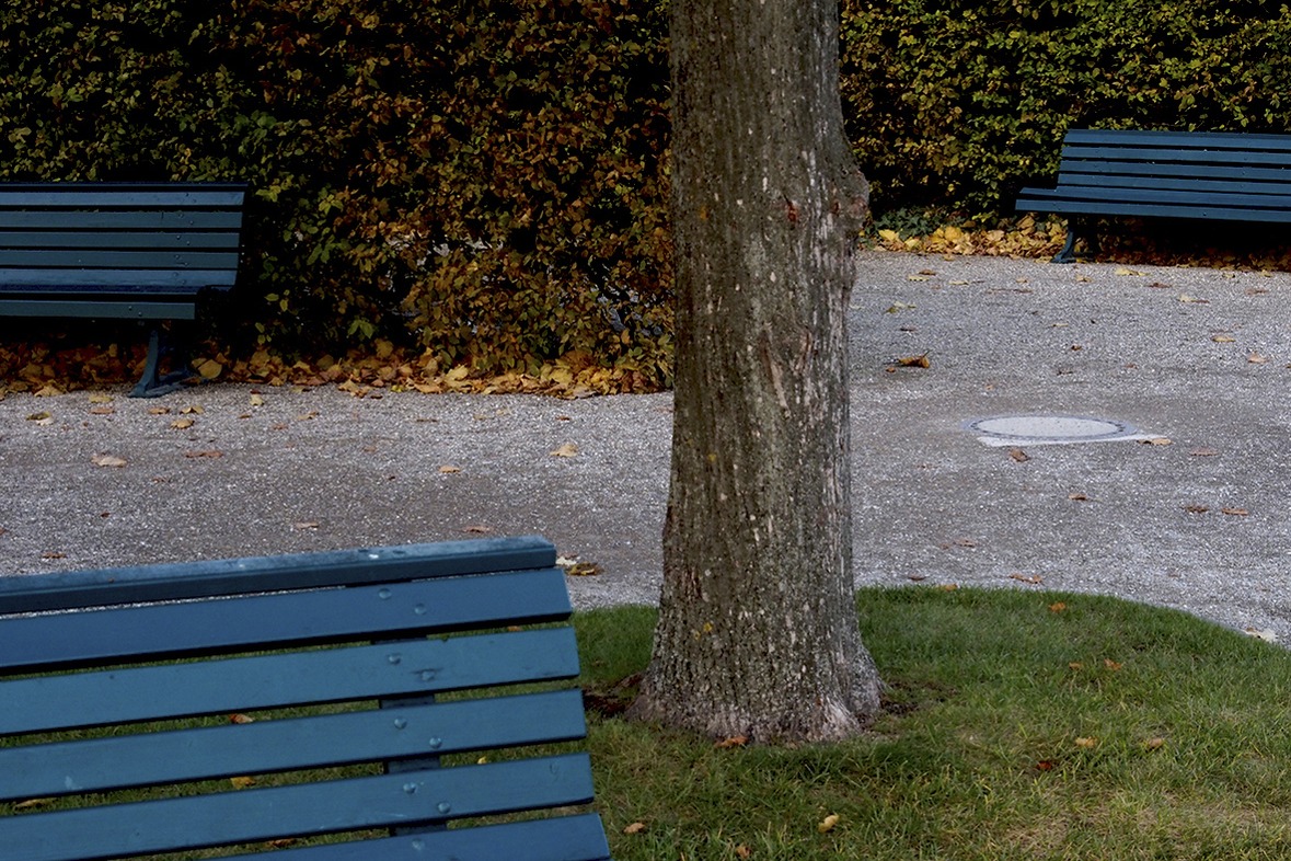 Fotokurs mit Fototour: Herrenhäuser Gärten