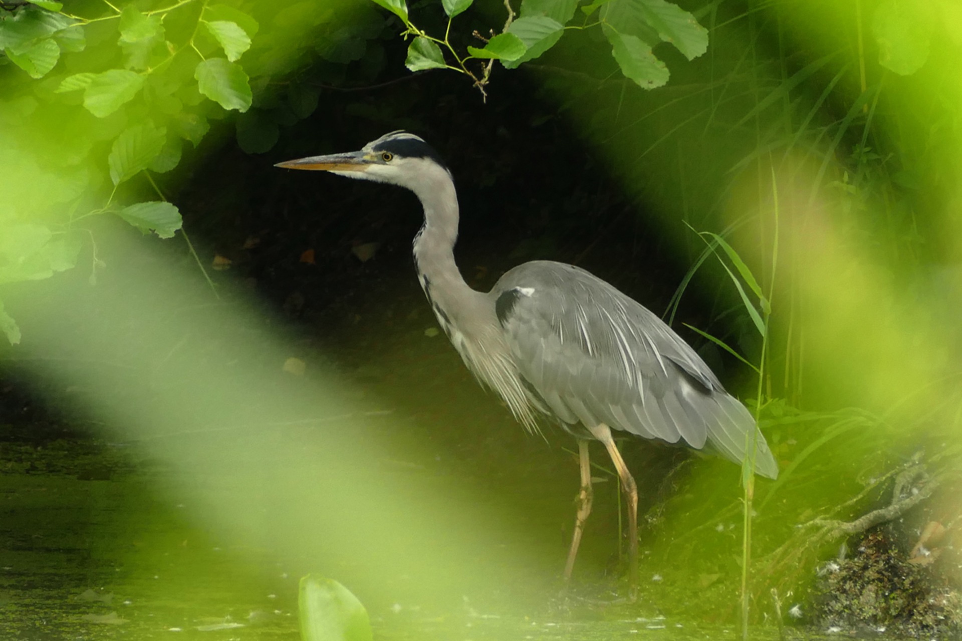 Fotokurs mit Fototour: Maximilianpark