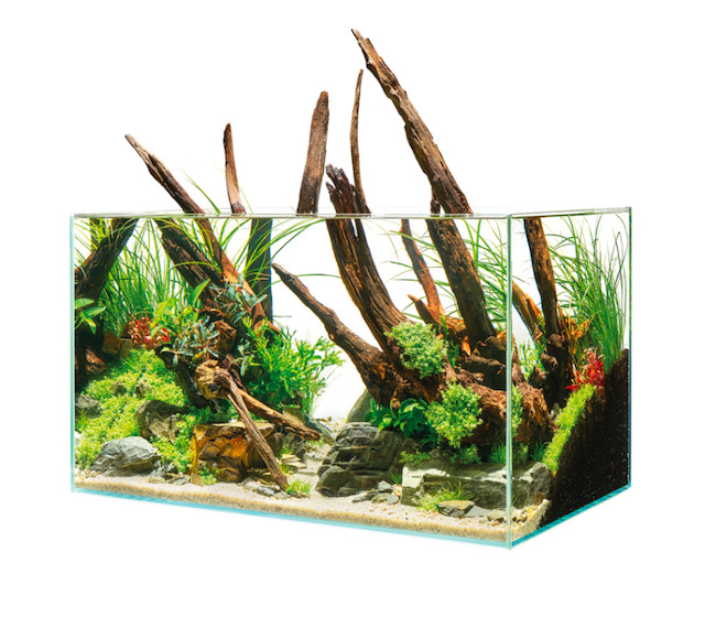 Oase ScaperLine 90 Set Aquarium