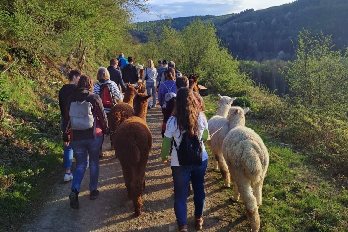 Alpaka Wanderung (Weinprobe)