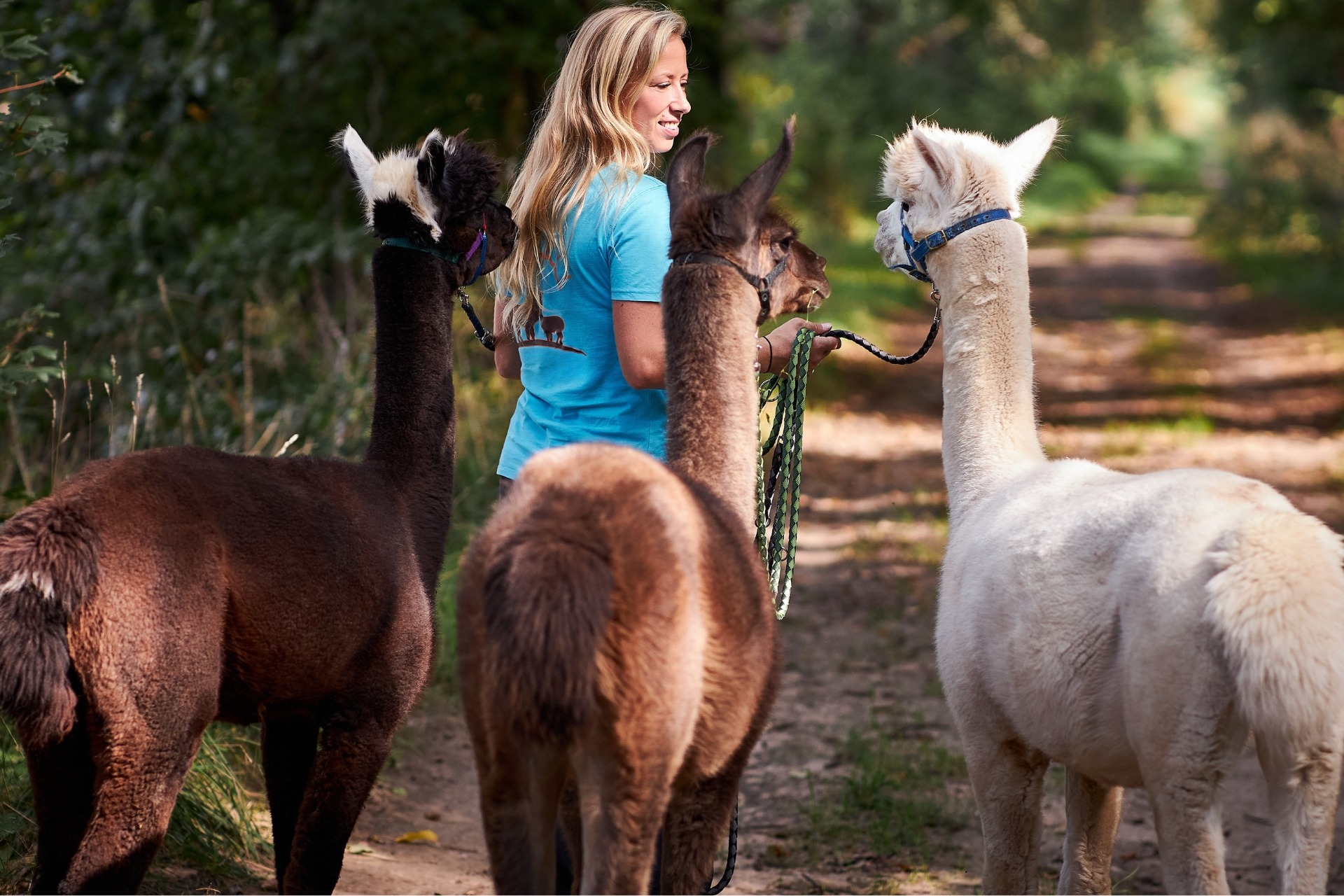 Alpaka Wanderung & Lama Wanderung