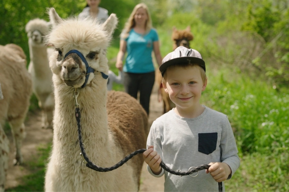 Alpaka Wanderung & Lama Wanderung
