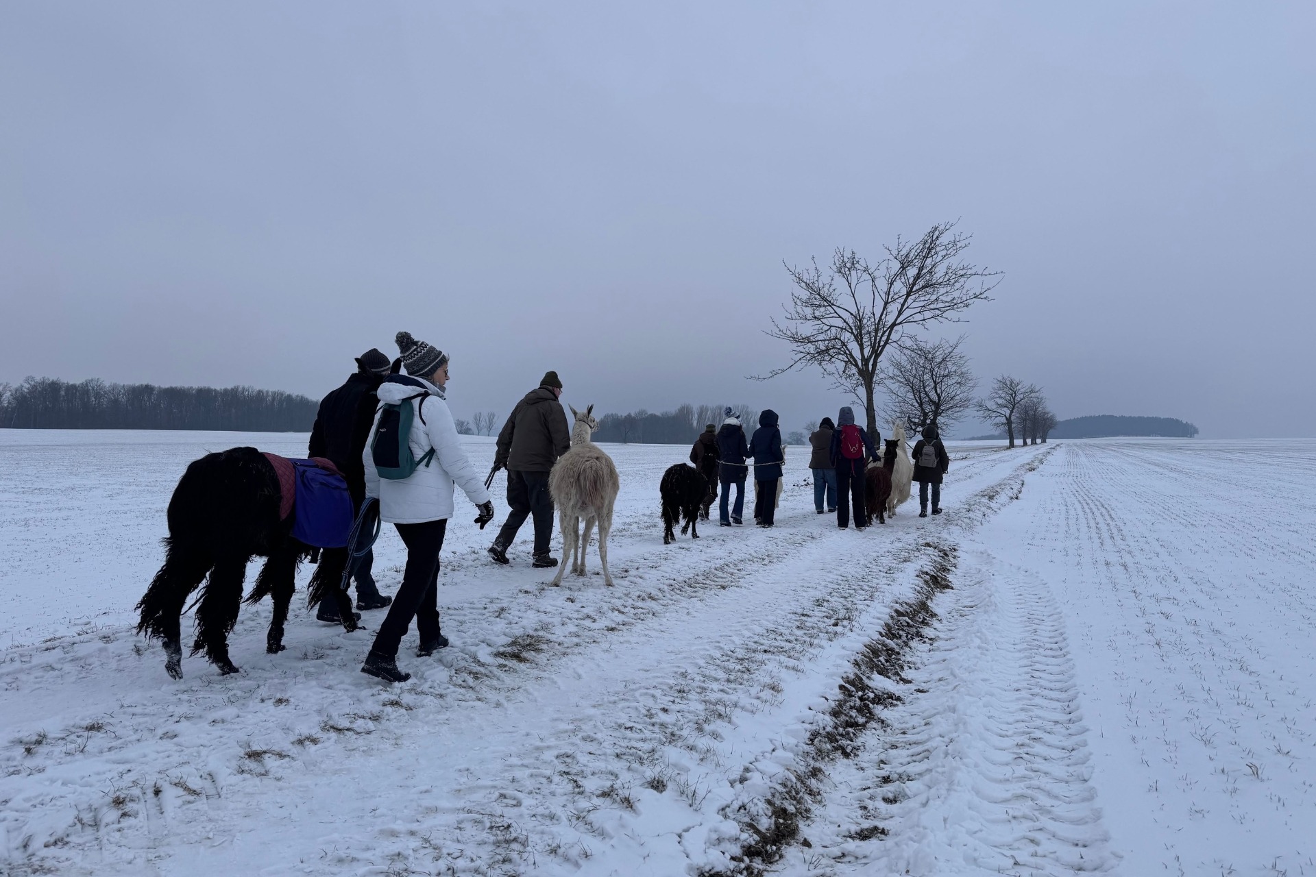 Glühweinwanderung Gruppenticket