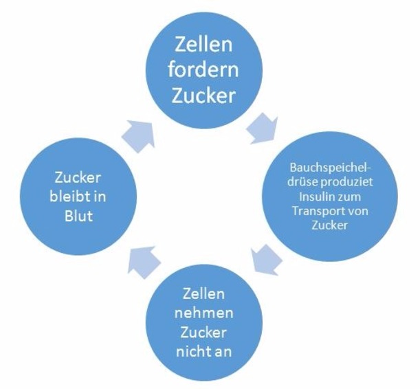 Bauchspeicheldruese