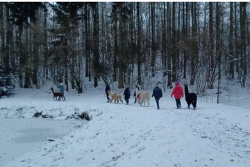 Glühweinwanderung
