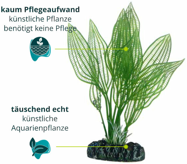 Dieses Bild zeigt die Hobby Aponogeton - Aquarium Kunstpflanze