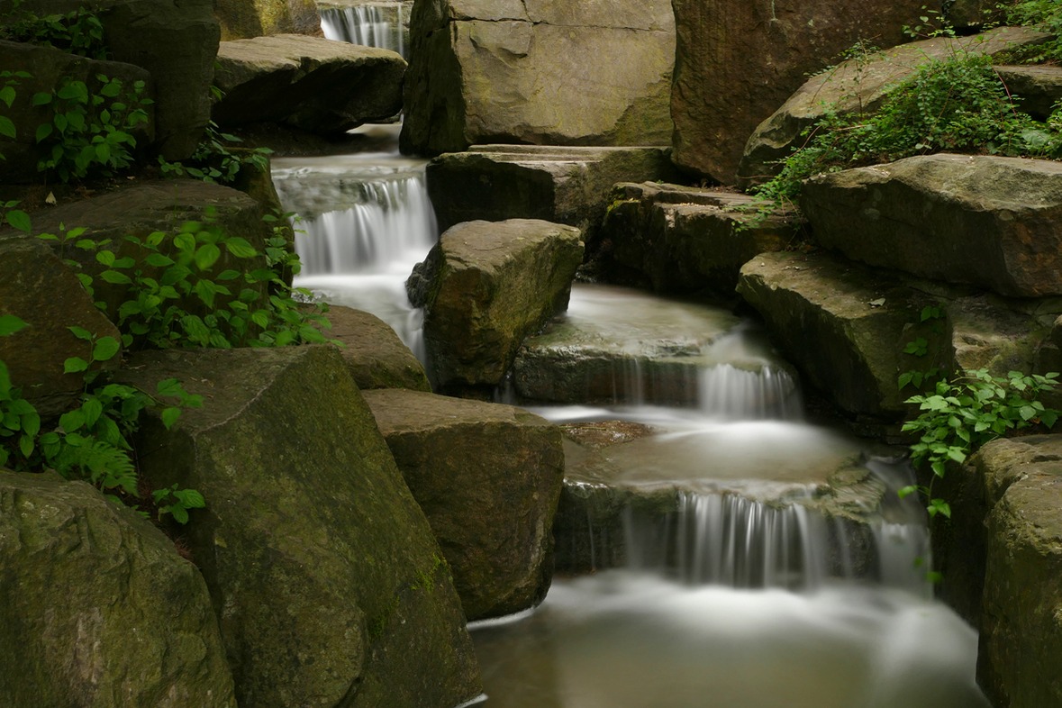 Fotokurs mit Fototour: Maximilianpark